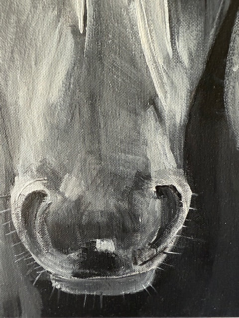 Black and White Horse Portrait- 20" x 16" x 1" Hand-painted Original Acrylic on Canvas