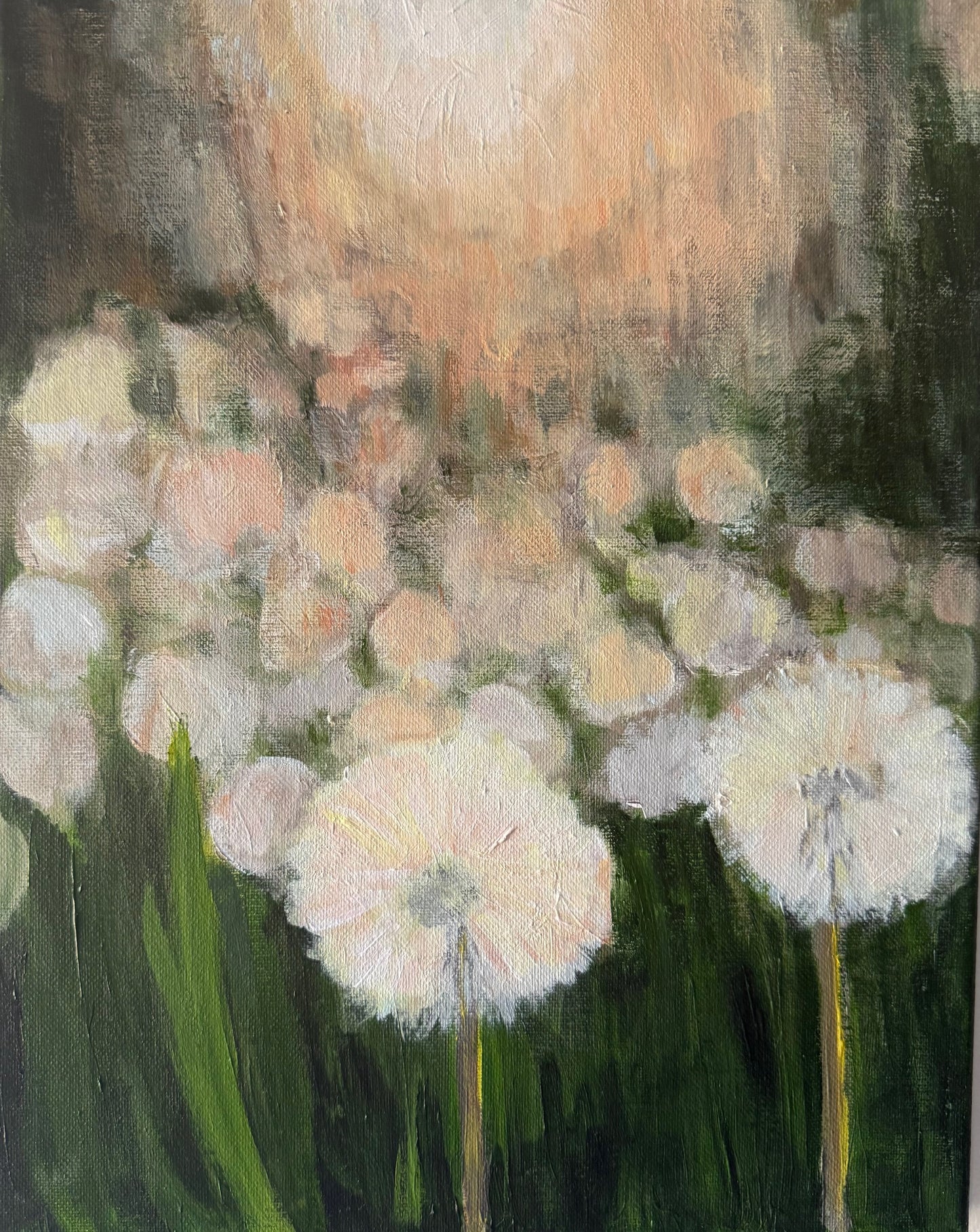 Dandelions in Morning Sun- Hand-painted canvas